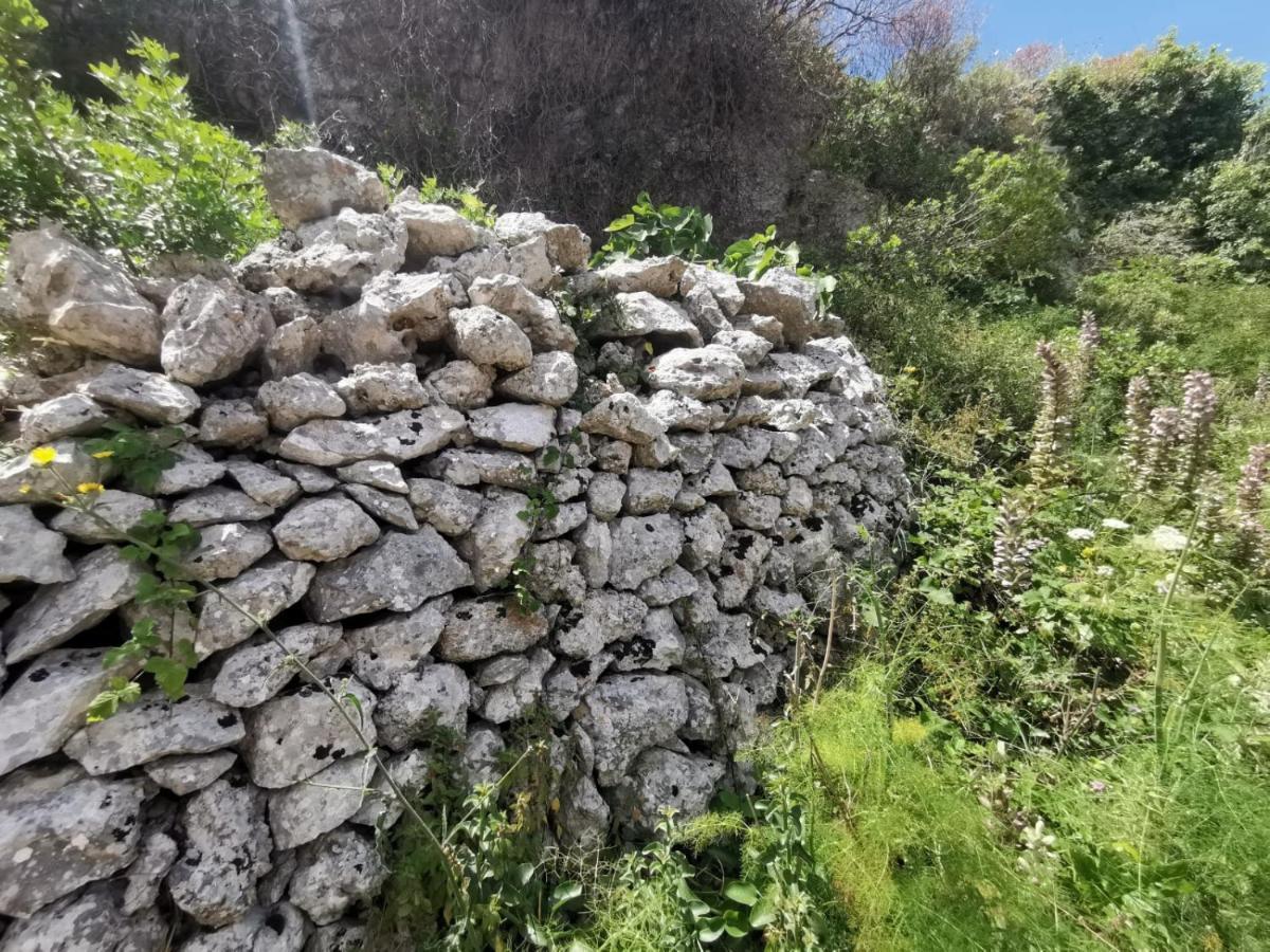 Anna 1924 Bed & Breakfast Gagliano del Capo Exterior photo