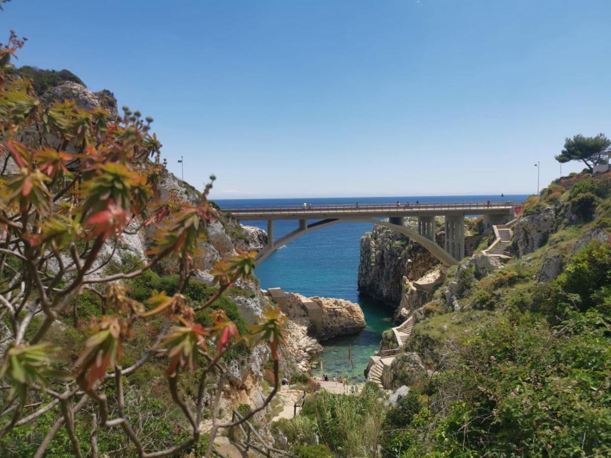 Anna 1924 Bed & Breakfast Gagliano del Capo Exterior photo